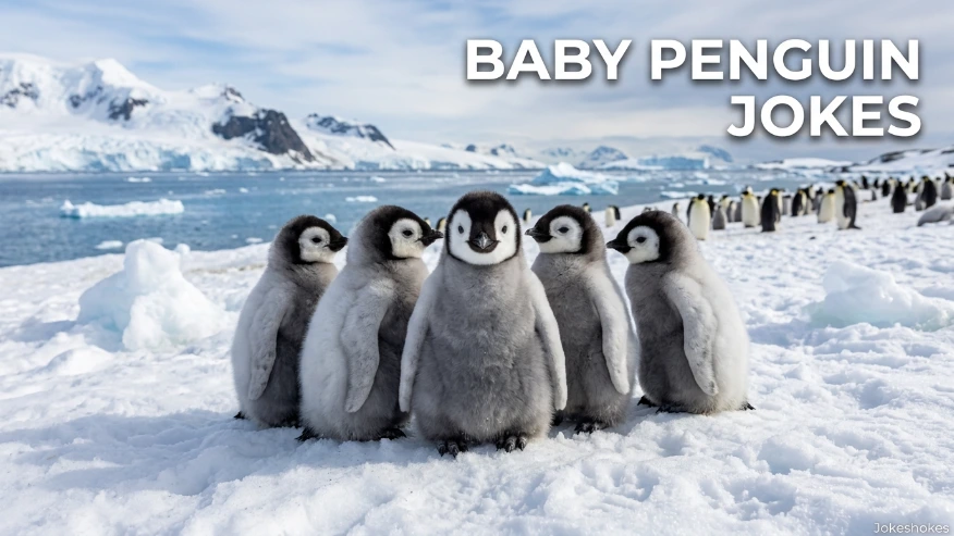 Baby Penguin Jokes