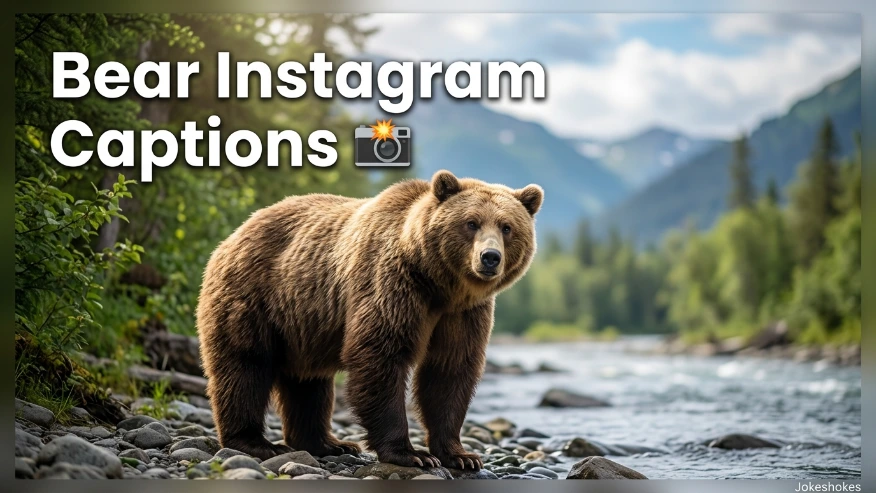 Bear Instagram Captions ๐ธ