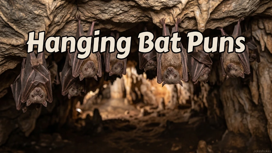 Hanging Bat Puns
