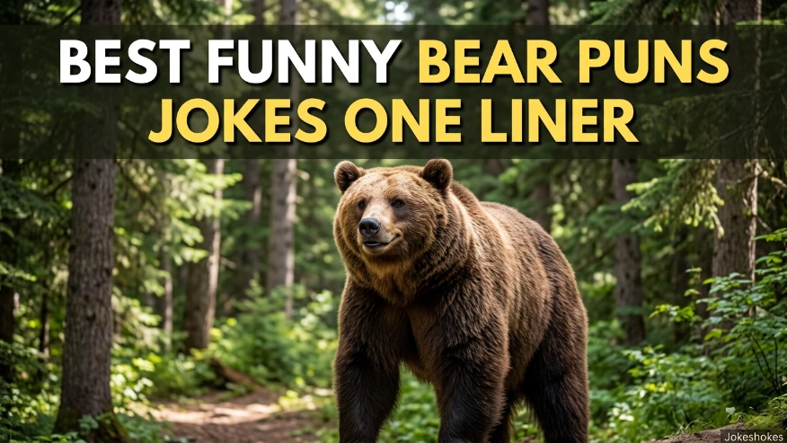 Best Funny Bear Puns Jokes One Liner